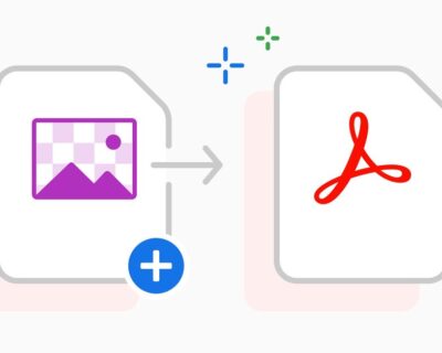 media_1d0a8ba001896b8f9ad9ebec635891445e725c520